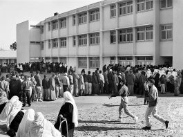 The secret mission to rescue the UN’s vital Palestinian refugee archive