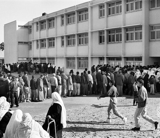 The secret mission to rescue the UN’s vital Palestinian refugee archive