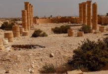 From Isolation to Innovation: The Western Negev’s Defiant Lesson for the International Community