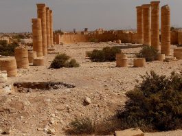 From Isolation to Innovation: The Western Negev’s Defiant Lesson for the International Community