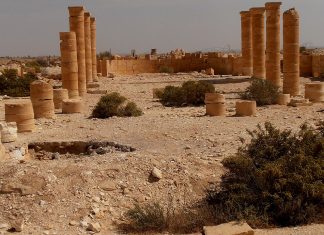 From Isolation to Innovation: The Western Negev’s Defiant Lesson for the International Community